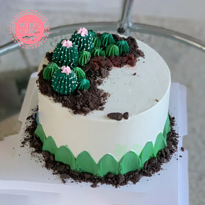 【Express】Cactus Birthday Cake Hot Pre-Order Freeship Ho Chi Minh