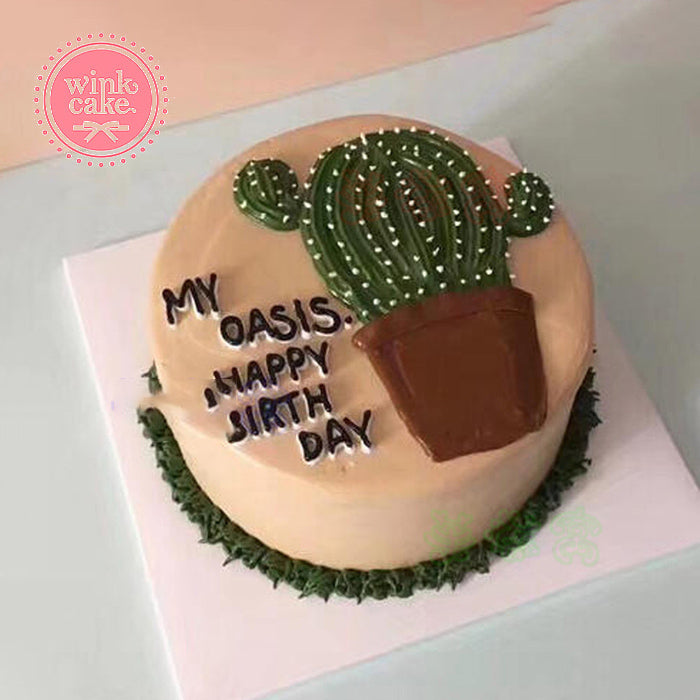 蛋糕 生日蛋糕 可爱 仙人掌 花盆 WinkCake