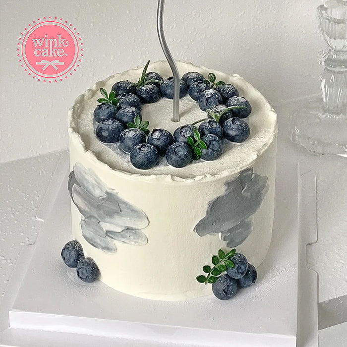 Birthday Cake Blueberry Cake Simple Fruit Cake, Gifts for Men WinkCake
